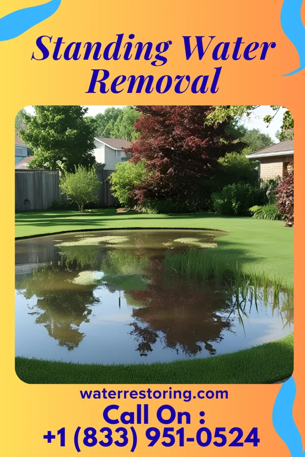 Standing Water Removal in St. Simons, GA
